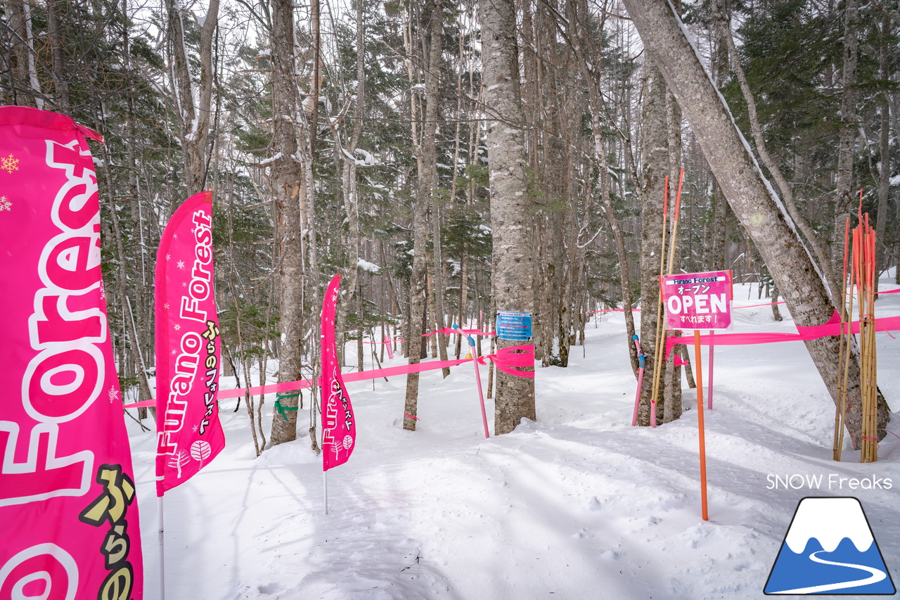 富良野スキー場｜スキーやスノーボードが初めての子供たちや初級者でも、ゲレンデの楽しさを味わえる工夫がいっぱい♪みんなに優しいスノーリゾート・富良野スキー場(^^)/
